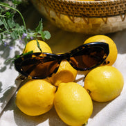 Dolce Bella Sunglasses — Espresso Tortoise + Brown