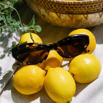 Dolce Bella Sunglasses — Espresso Tortoise + Brown