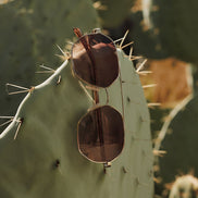 Joelle Sunglasses — Gold + Horn Tortoise + Brown Gradient