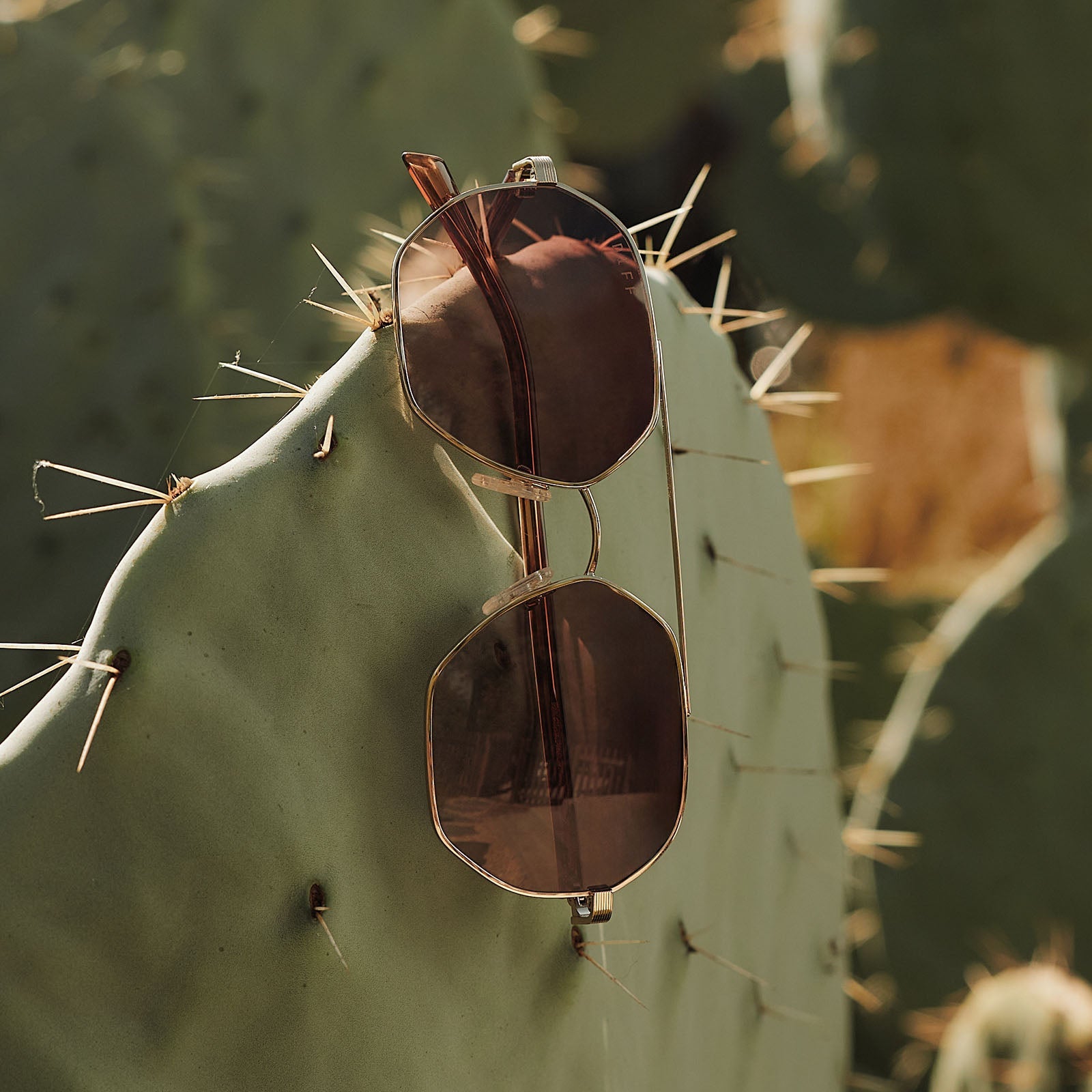 Joelle Sunglasses — Gold + Horn Tortoise + Brown Gradient