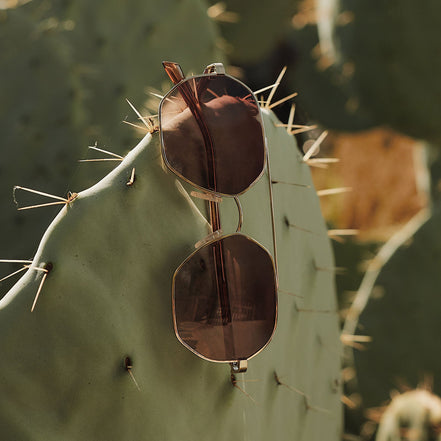 Joelle Sunglasses — Gold + Horn Tortoise + Brown Gradient