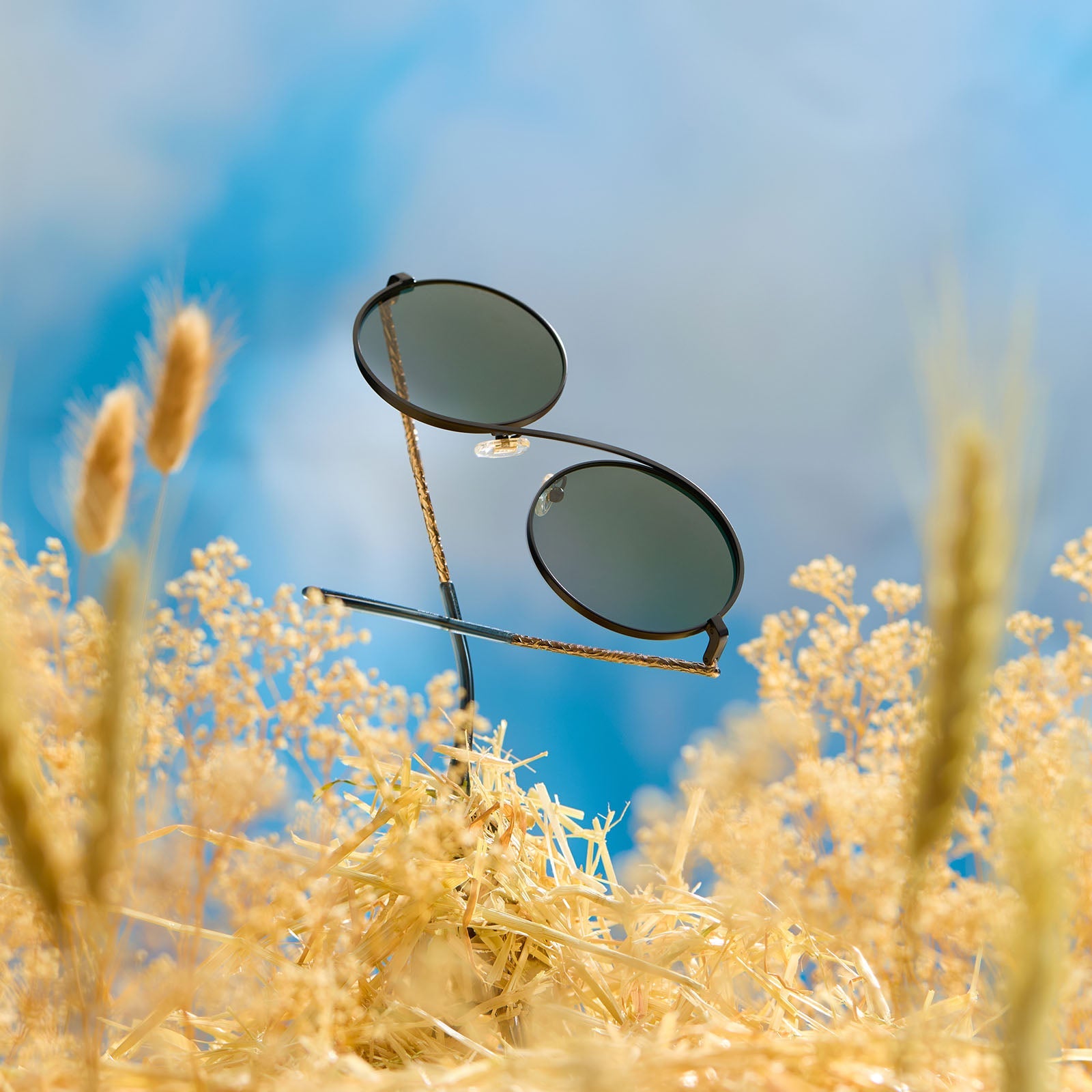 Elphaba Wire Frame Sunglasses — Black Wire + Emerald Tint Gradient