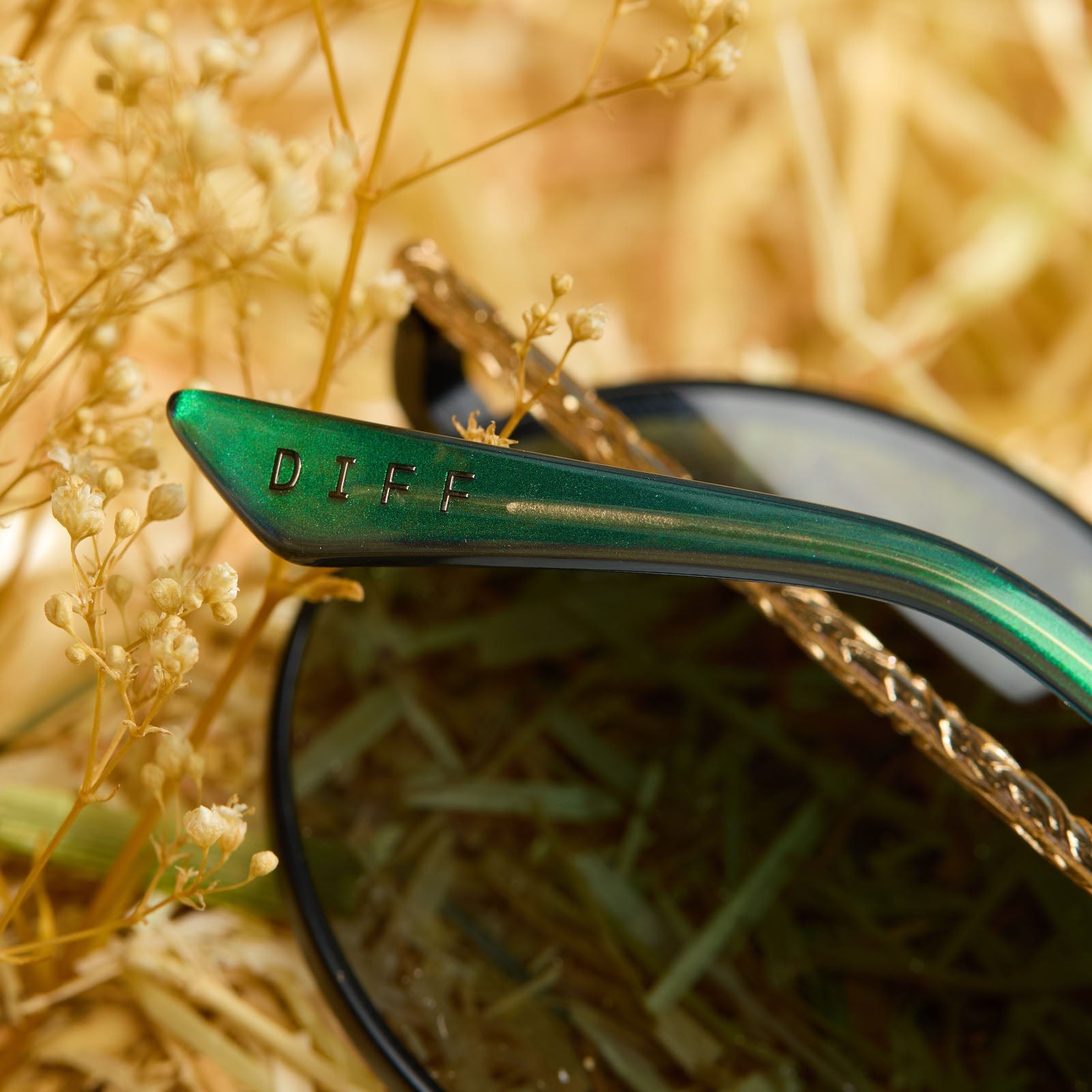 Elphaba Wire Frame Sunglasses — Black Wire + Emerald Tint Gradient