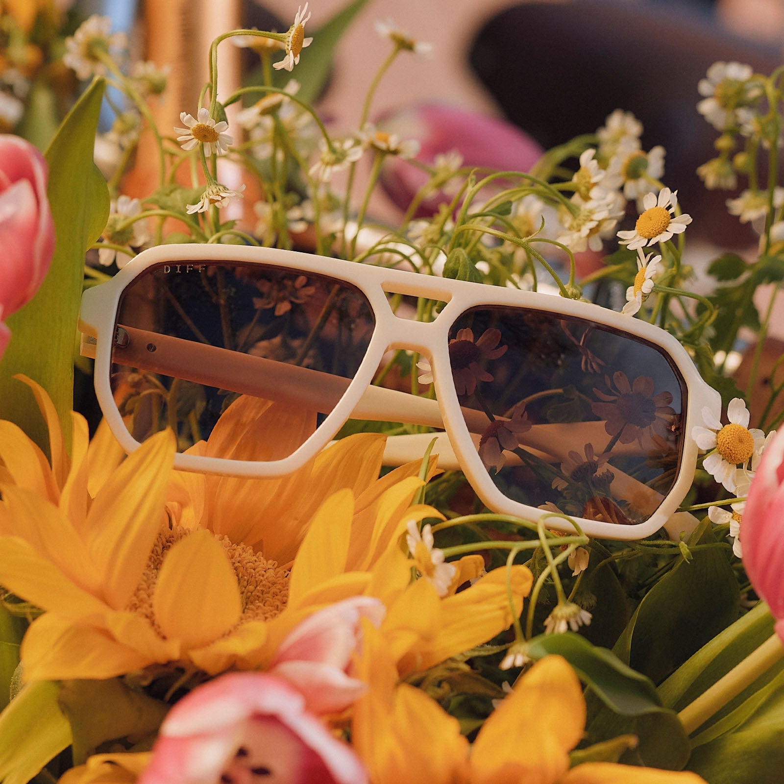 Cameron Sunglasses — Courtside Ivory + Brown Gradient Polarized