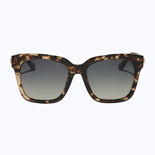 Bella - Espresso Tortoise
